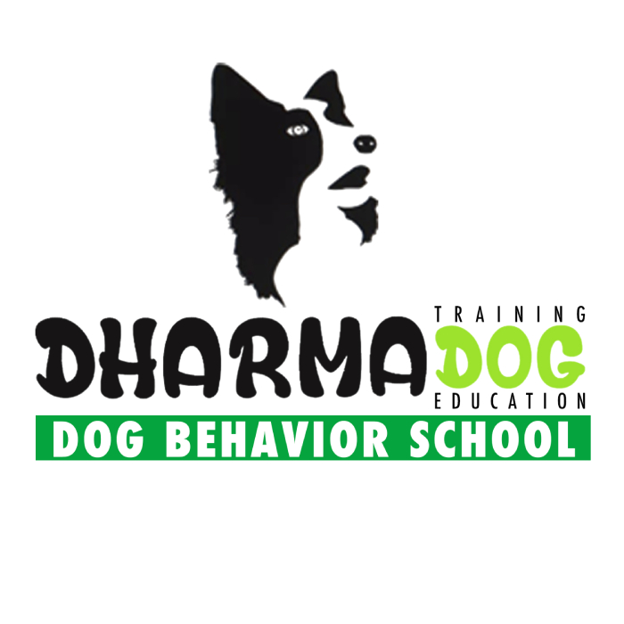 Dharma-Dog-School-Logo