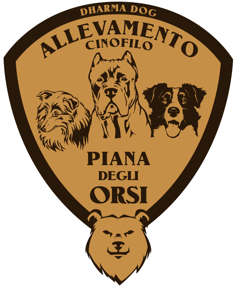 ALLEVAMENTO-PIANA-DEGLI-ORSI-2023
