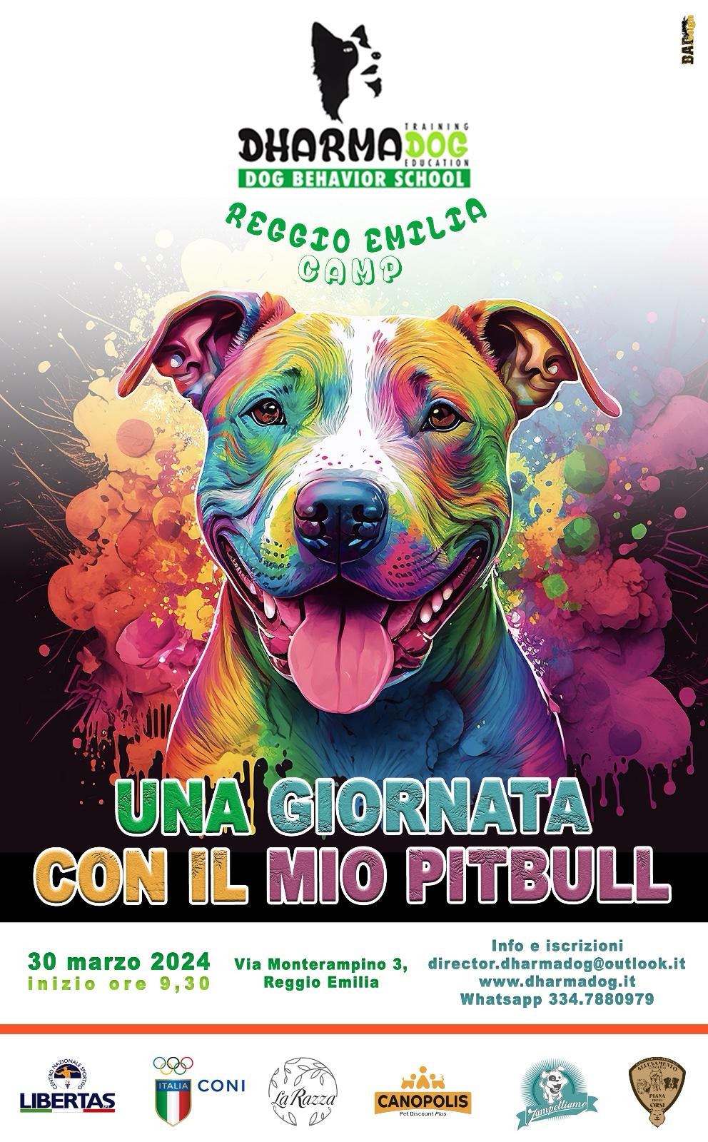 Un giorno con il mio Pitbull